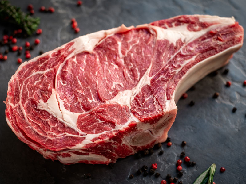 cote_boeuf_blond-d'aquitaine_gaec-villeneuve_saint-maurice-etusson