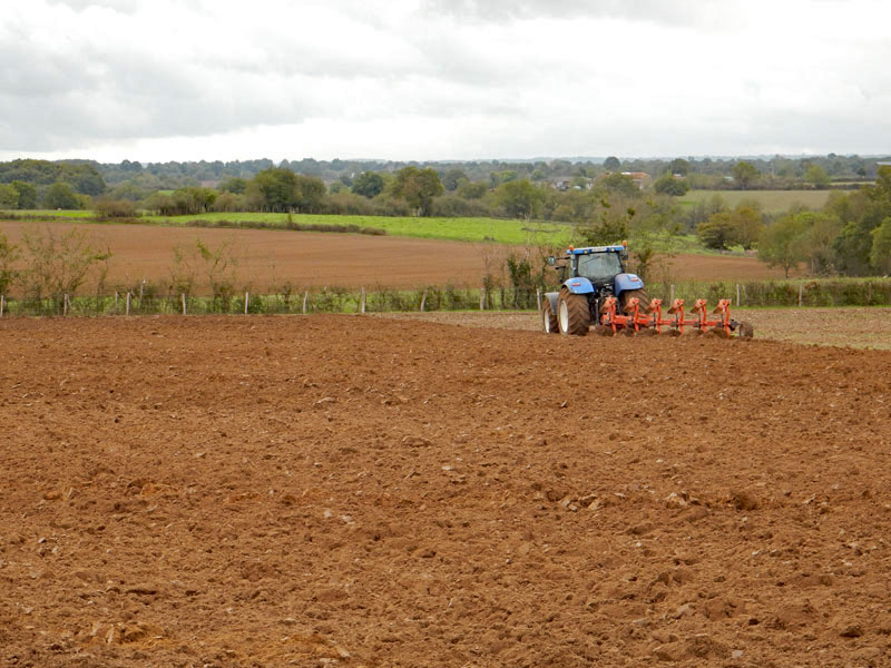 cultures_gaec-villeneuve_agriculteurs_deux-sèvres_tracteur-labour