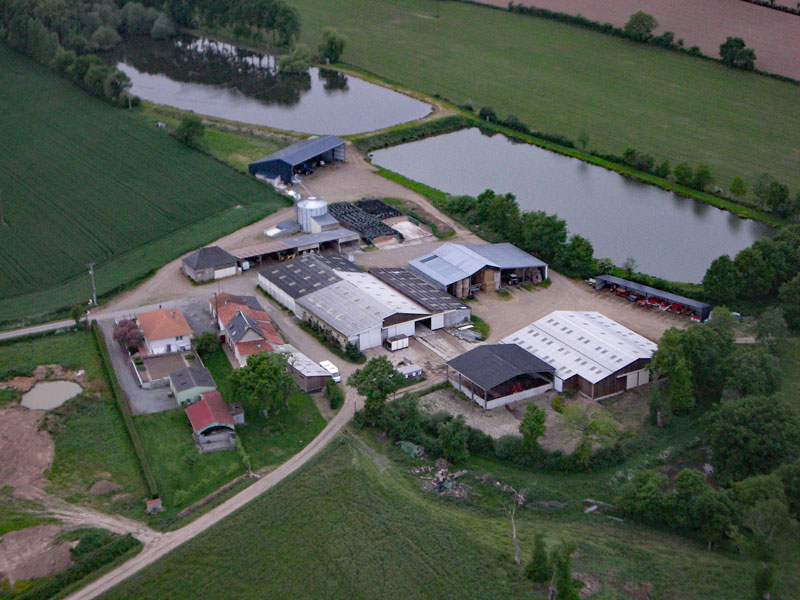 ferme-de-villeneuve_saint-maurice-etusson_agriculteurs_deux-sèvres