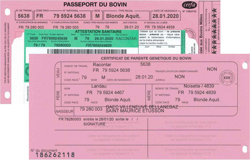 Passeport_Racontar_blond-d'aquitaine_gaec-villeneuve_saint-maurice-etusson