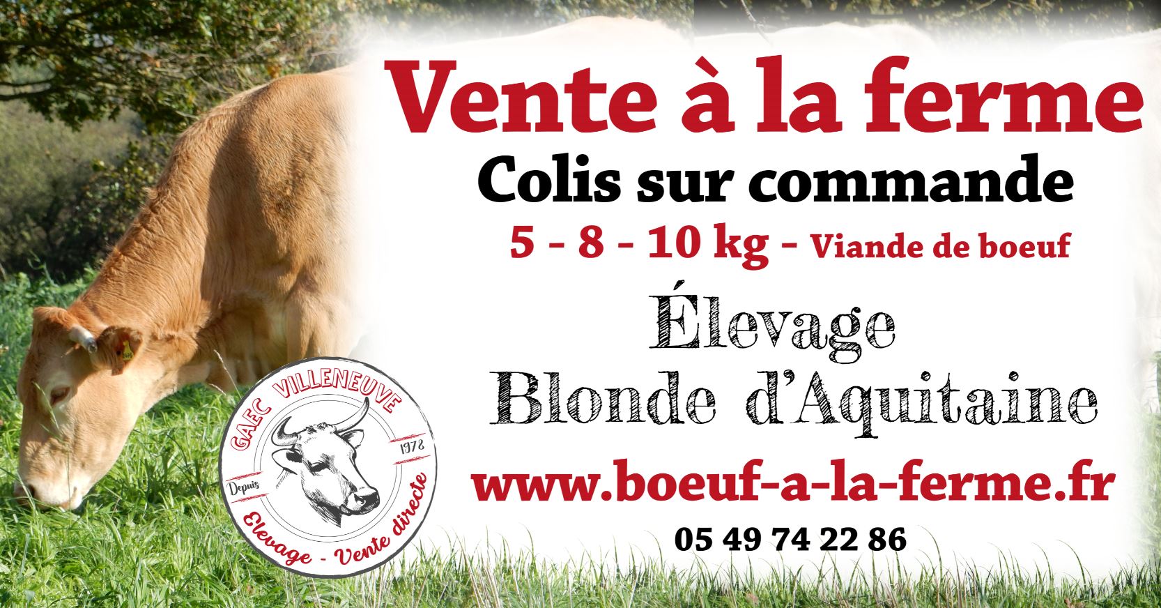 Contactez-nous pour la vente de viande de boeuf en direct