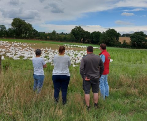 Bienvenue-a-la-ferme-gaec-villeneuve-visite-activites