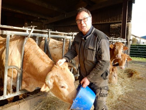 Damien_Belleannée_associé_du_GAEC_Villeneuve_ferme_vaches_agriculture_boeuf_blond-daquitaine